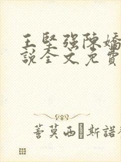 王坚强陈娇娇小说全文免费阅读正版封面