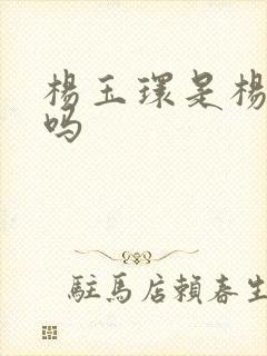 杨玉环是杨贵妃吗