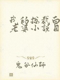 我的总裁白富美老婆小说目录章节封面