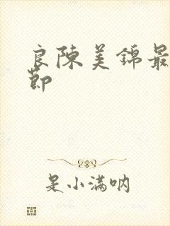 良陈美锦最新章节
