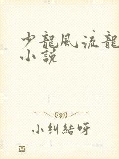 少龙风流龙剑飞小说