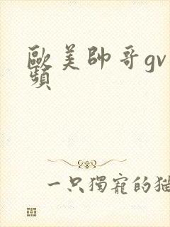 欧美帅哥gv视频