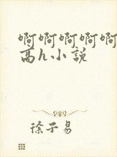 啊啊啊啊啊男男高h小说