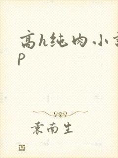 高h纯肉小说np