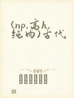 (np,高h,纯肉)古代
