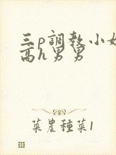 三p调教小嫩苞高h男男封面
