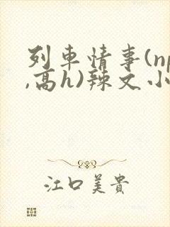 列车情事(np,高h)辣文小
