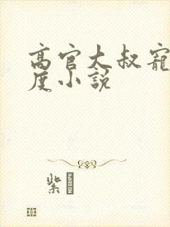 高官大叔宠妻无度小说封面