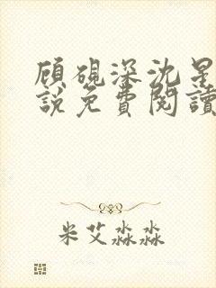 顾砚深沈星瑶小说免费阅读最新章节