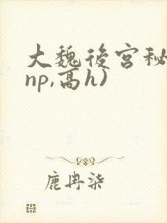 大魏后宫秘史(np,高h)