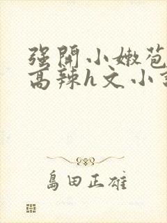 强开小嫩苞h文高辣h文小说