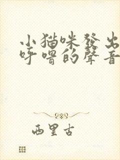 小猫咪发出呼噜呼噜的声音怎么回事