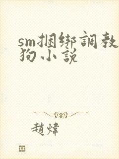 sm捆绑调教母狗小说