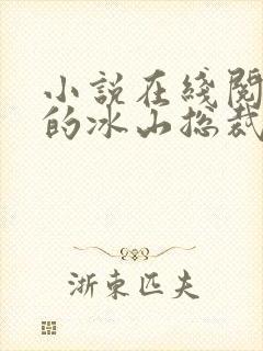 小说在线阅读我的冰山总裁老婆