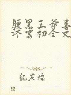 腹黑王爷喜当爹沐云初全文免费阅读