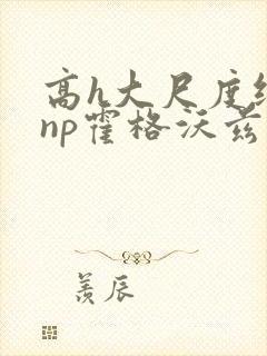 高h大尺度纯肉np霍格沃兹