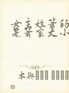 女主姓萧的小说是萧家大小姐