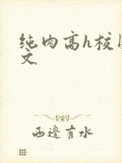 纯肉高h校园黄文