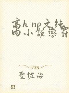 高h np文纯肉小说惩罚