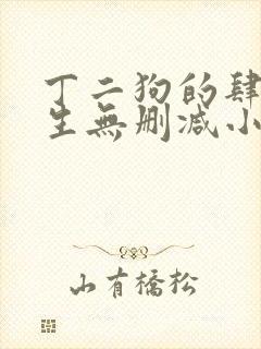 丁二狗的肆意人生无删减小说免费封面