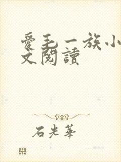 爱毛一族小说全文阅读封面