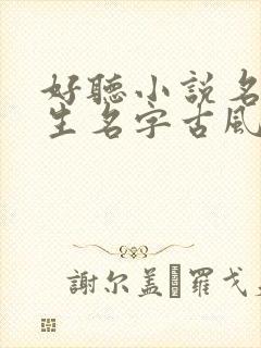 好听小说名字男生名字古风