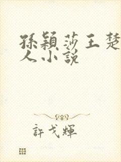 孙颖莎王楚钦同人小说