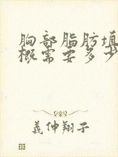 胸部脂肪填充大概需要多少钱