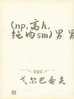 (np,高h,纯肉sm)男男