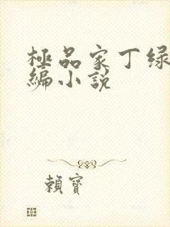 极品家丁绿帽改编小说