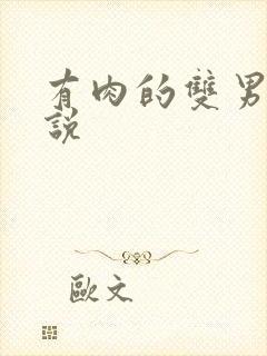 有肉的双男主小说封面