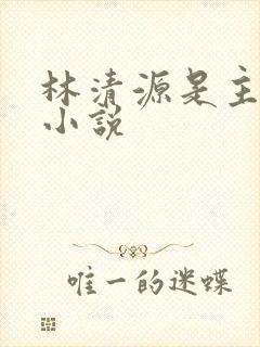 林清源是主角的小说