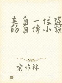 来自一位盗墓者的自传小说免费看