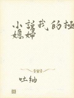 小说我的极品儿媳妇