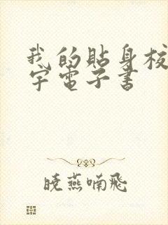 我的贴身校花唐宇电子书