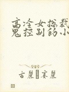 高冷女总裁被黑鬼控制的小说