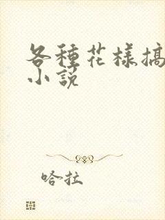 各种花样搞美人小说封面