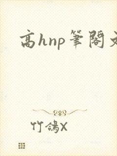 高hnp笔阁文