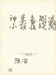 神墓未删减完整小说在线阅读