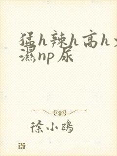 猛h辣h高h文湿np尿