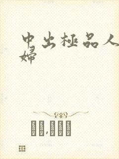 中出极品人妻少妇