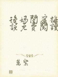 后妈闺蜜梅姨小说免费阅读封面