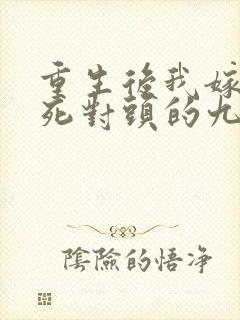 重生后我嫁给了死对头的九叔