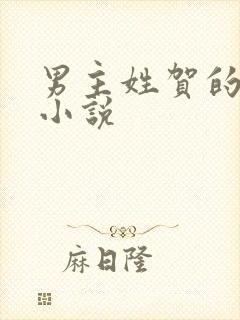 男主姓贺的总裁小说