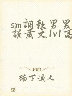 sm调教男男小说黄文1v1高h强制