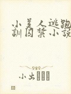小美人逃跑被教训囚禁小说