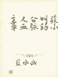 主人公叫苏信至尊血脉的小说名字