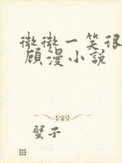 微微一笑很倾城 顾漫小说