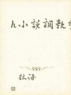 h小说调教双性封面
