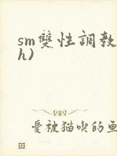 sm双性调教(h)